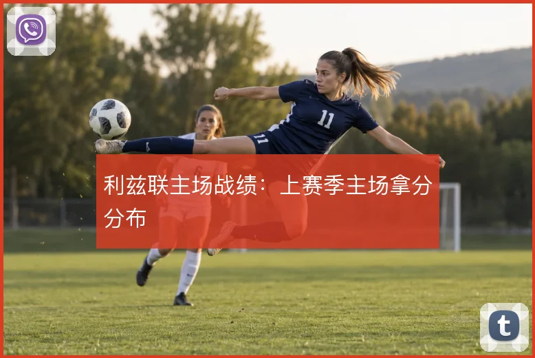 利兹联主场战绩:上赛季主场拿分分布